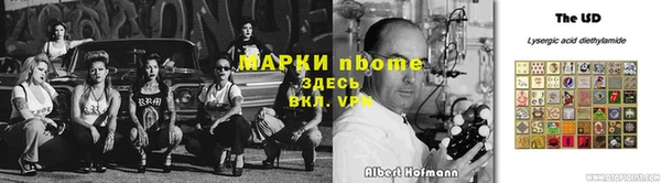 шишки Верхний Тагил